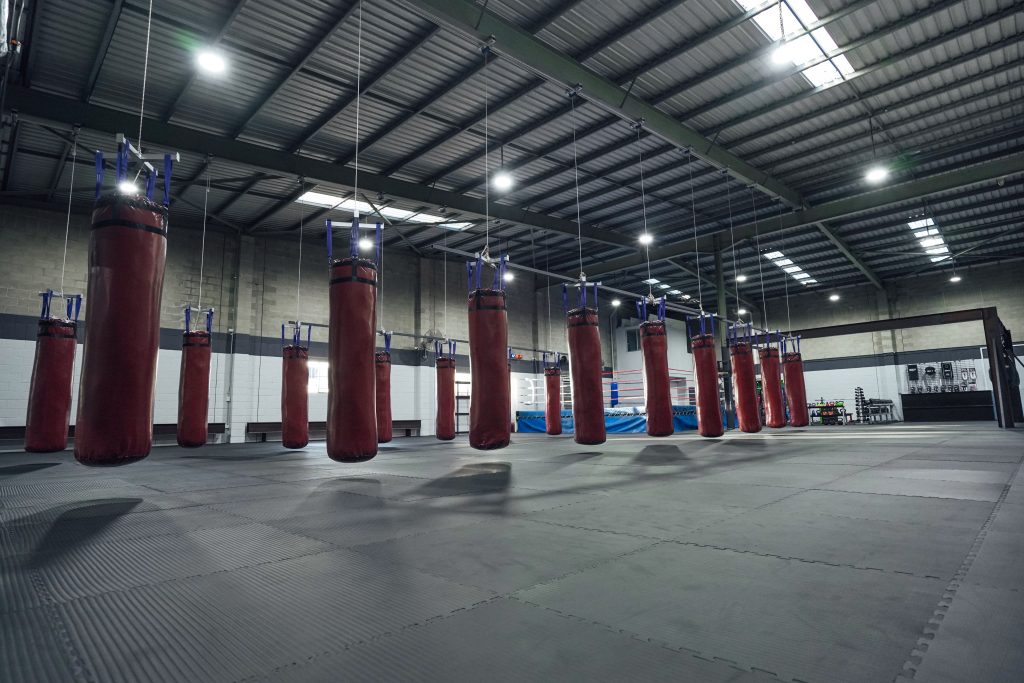 IRONFIST GYM UPDATE The Ironfist Gym