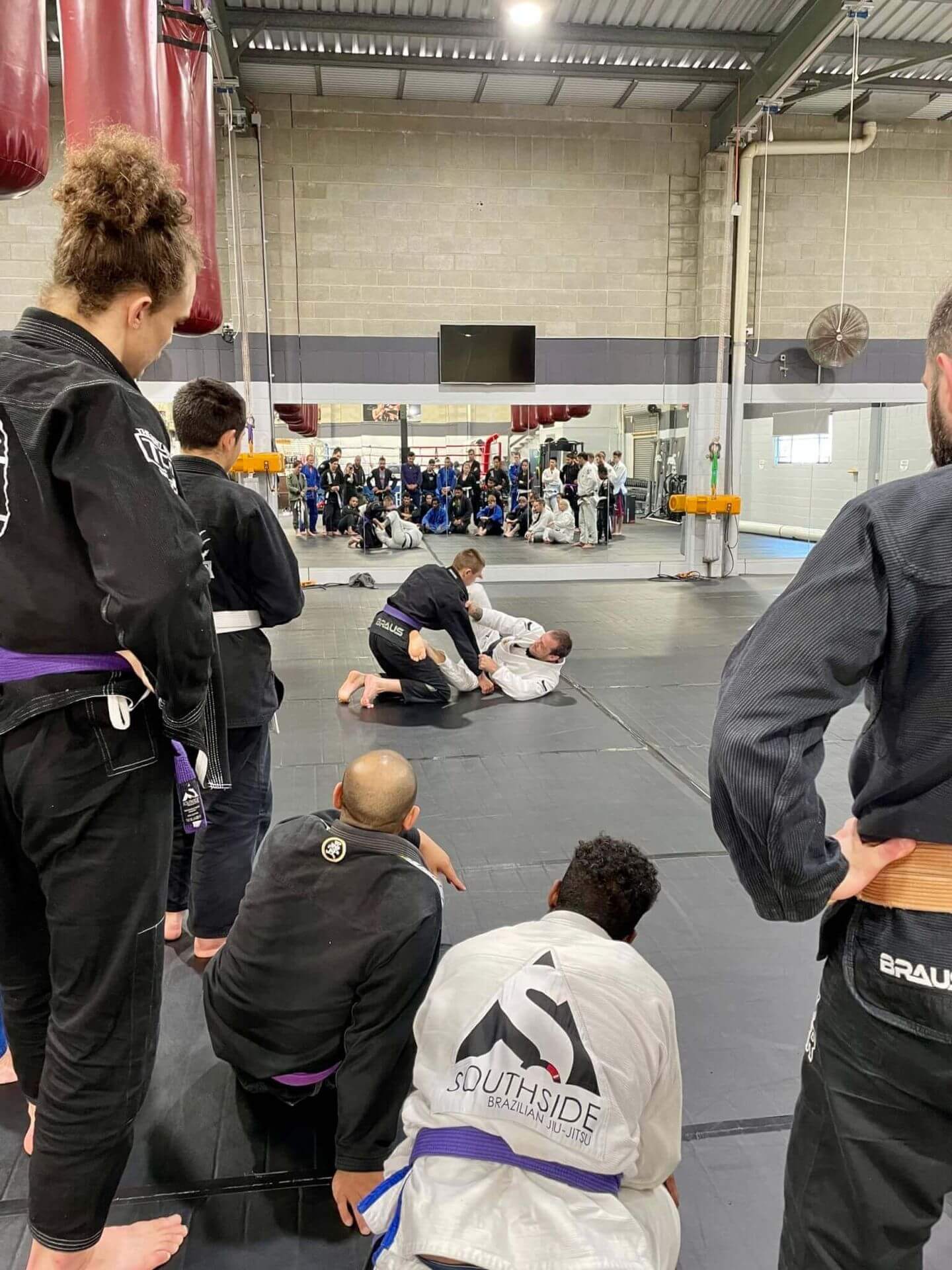 BJJ Gradings: What To Expect - The Ironfist Gym